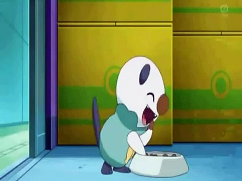 Oshawott eats while I play fitting music.