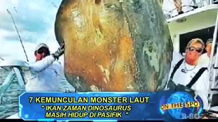 7 KEMUNCULAN MONSTER LAUT - On The Spot Trans7