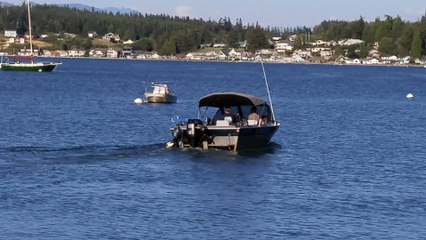 Watching Boats on Utsalady Bay.