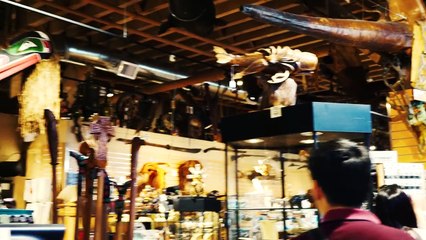 Pokémon GO Preview_ Seattle, WA (feat. Dante Basco)