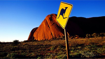 Pokemon Go - Last Beta Test & Second Generation! (English)