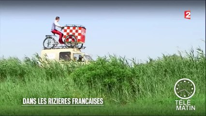 Marchés - Le riz français de Camargue - 2016/07/25