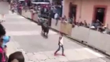 Kızgın boğa dehşet saçtı