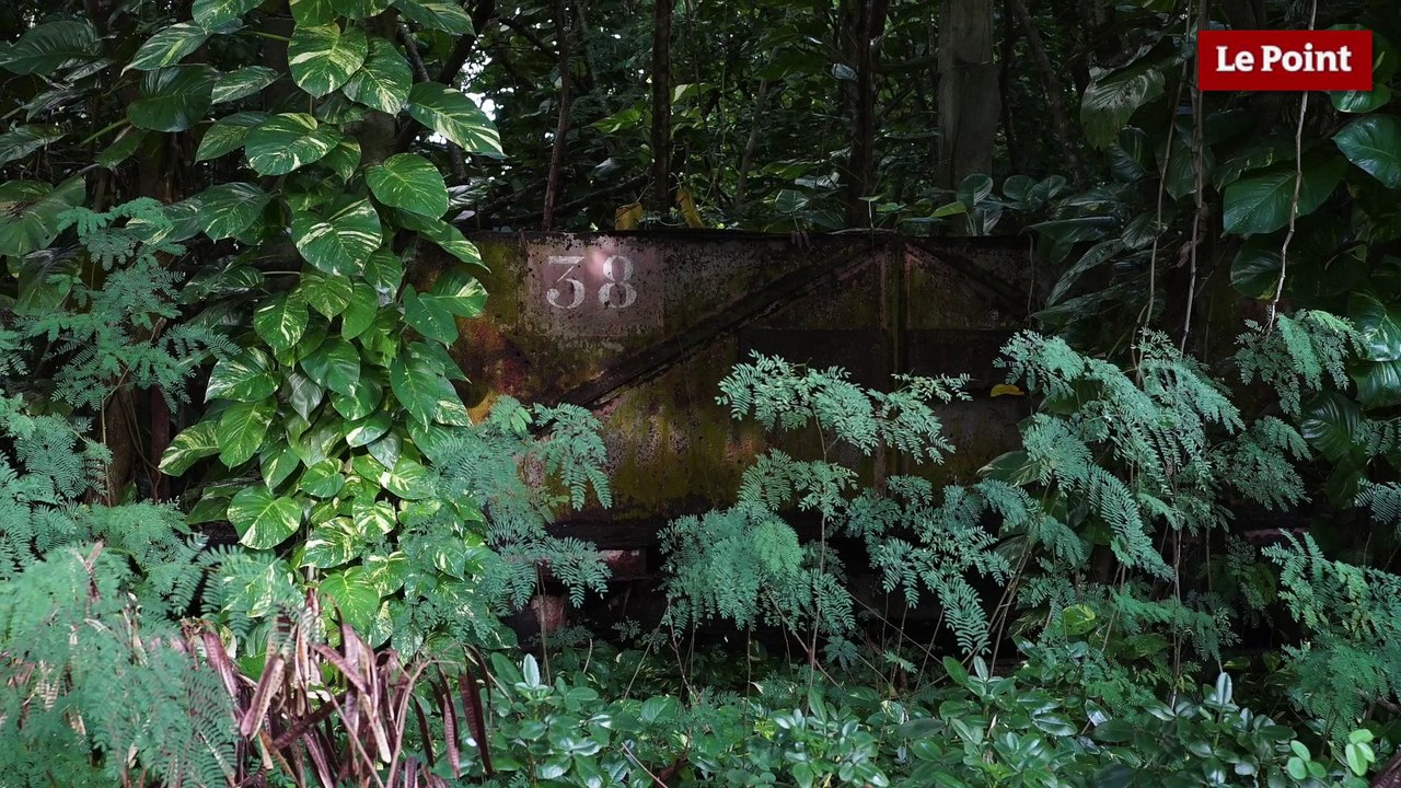 "Vie et mort des Marquises", par Michel Onfray - #3