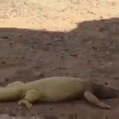 Ca brule, ça brule ça brule...