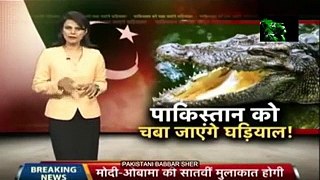 Crocodiles are Guarding Indian Border from Pakistan - Rubbish Reporting of Indian Media