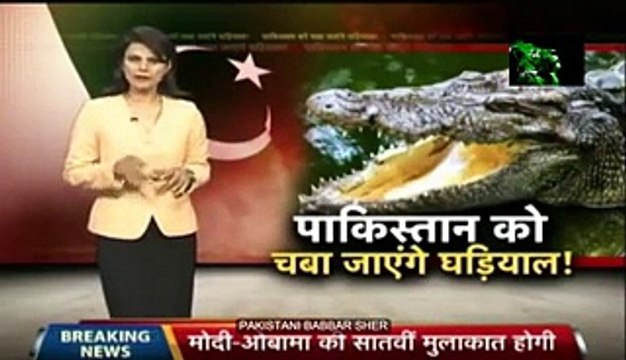 Crocodiles are Guarding Indian Border from Pakistan - Rubbish Reporting of Indian Media