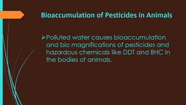 7 Way Polluted Water Affects Life