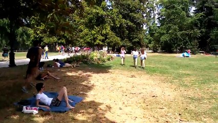Pokémon Go - Quand un Leviator apparaît à Bordeaux