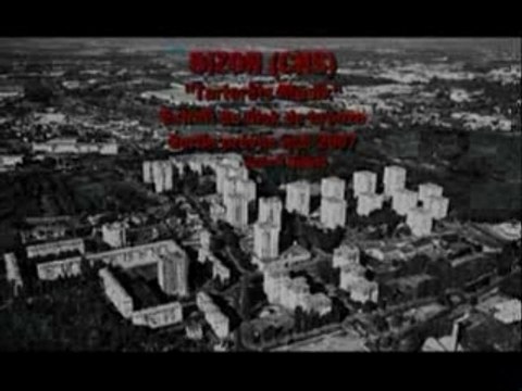 Bizon-tarterets muzik