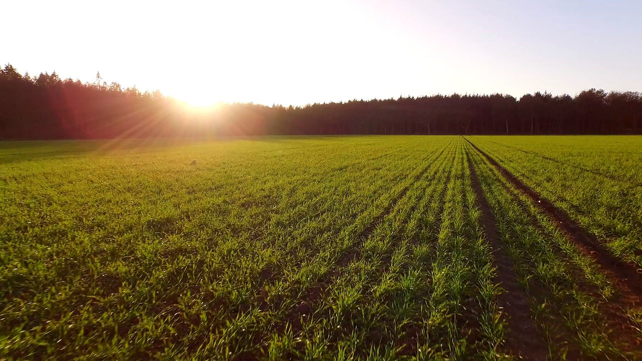 An Aerial Farm with Sunset