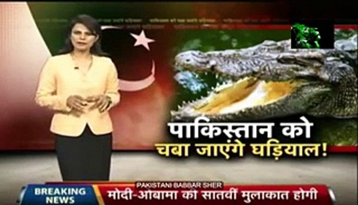 Crocodiles are Guarding Indian Border from Pakistan
