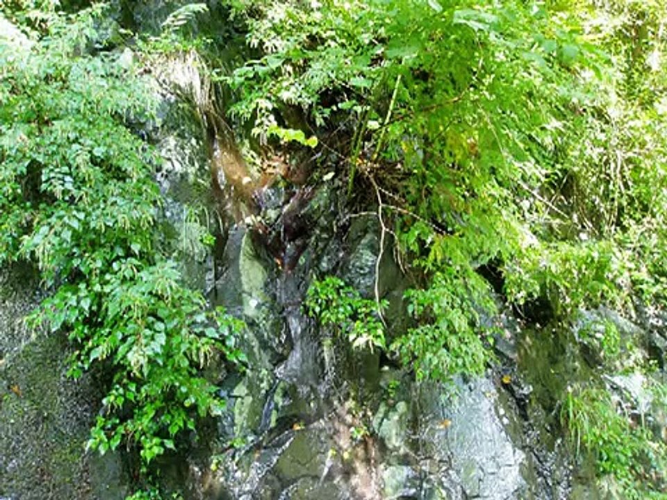 梅本哲信　シューベルトのアヴェ・マリア-Schubert's-Ave-Maria-竹横笛の癒しの音色-bamboo-flute-healing-sound_OKAD+TGY960_youtube.com