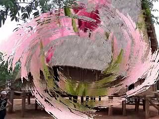 VÔ THƯỜNG (15) ĐĐ. THÍCH GIÁC THIỆN Giảng