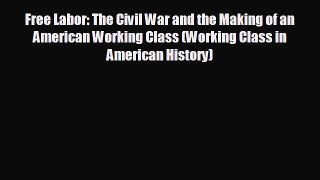 READ book Free Labor: The Civil War and the Making of an American Working Class (Working Class