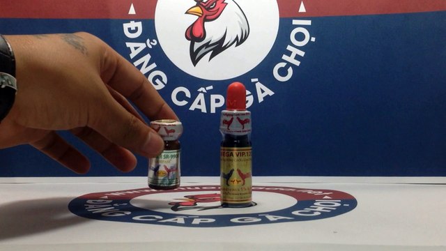 Kết hợp Mega VIP 123 với Winner SR-9900, Thuốc tăng bo khủng, lỳ đòn cho gà đá hiệu quả nhất