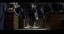 Les Animaux Fantastiques – Bande Annonce Officielle Comic-Con (VF)