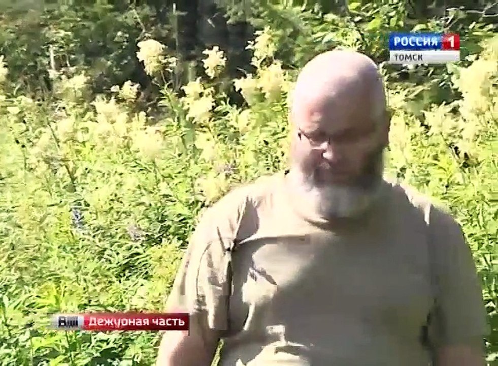 ОНФ: В деревне Петропавловка Томского района лес незаконно вырубают в огромных масштабах