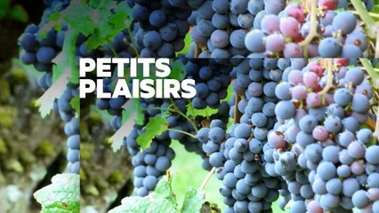 Echappées belles – Au fil de la Garonne (30/07).