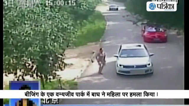 Tiger attacks and kills woman at safari park in China