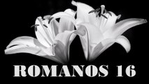 Romanos - 16