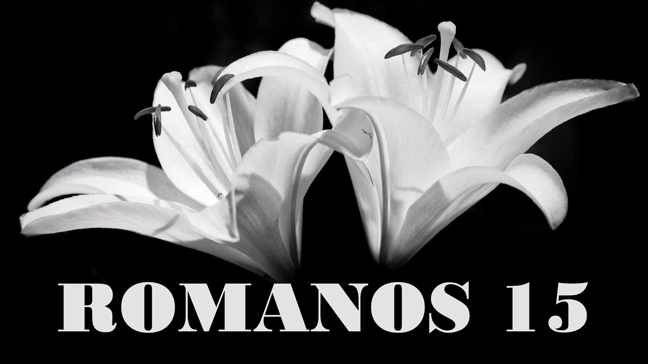 Romanos - 15