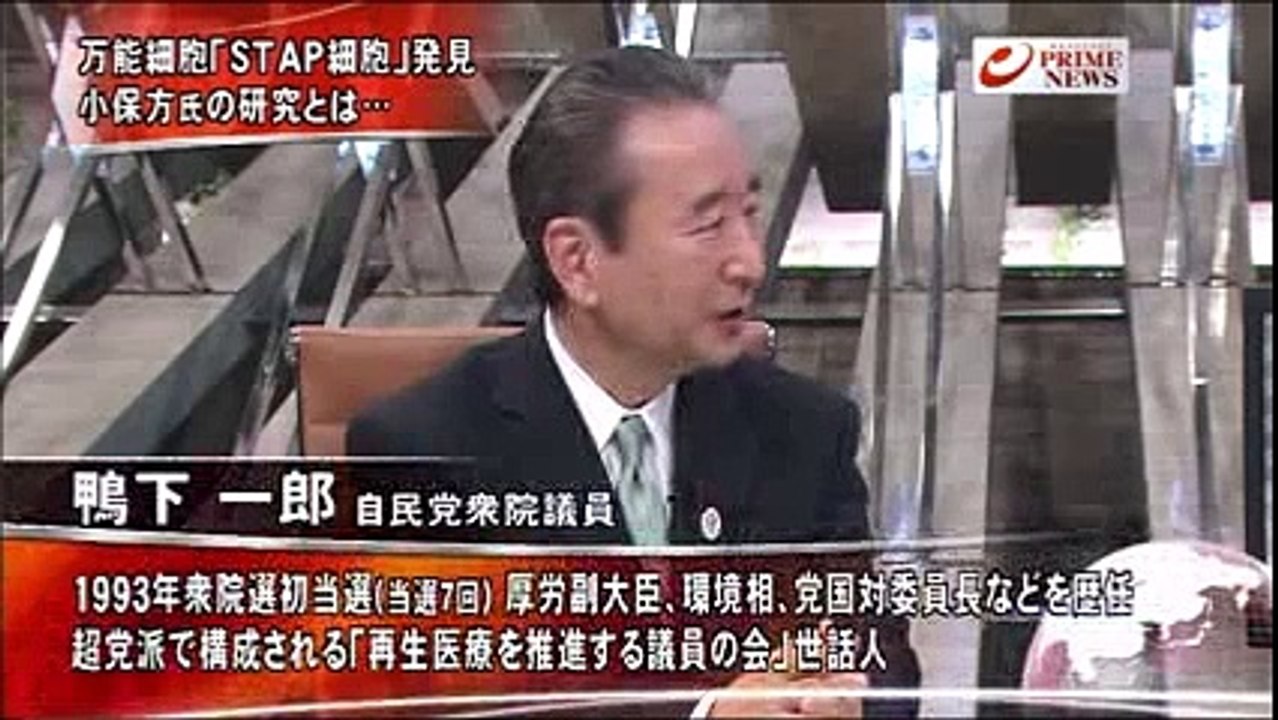 STAP細胞とiPS細胞・再生医療への可能性