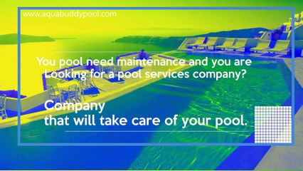 Get the Best Pool Services in Hollywood