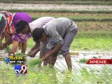Lack of irrigation water puts farmers under pressure in Sanand - Tv9 Gujarati