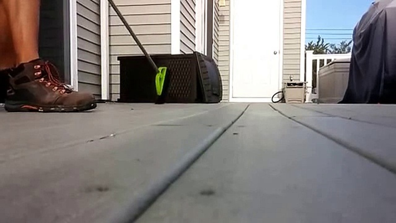 Un raton laveur très énervé montre à un homme qui est le patron