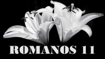 Romanos - 11