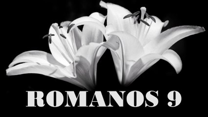 Romanos - 09