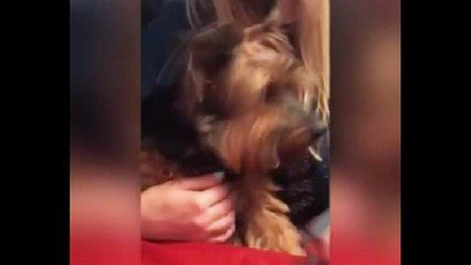 Você Está na TV! 📺