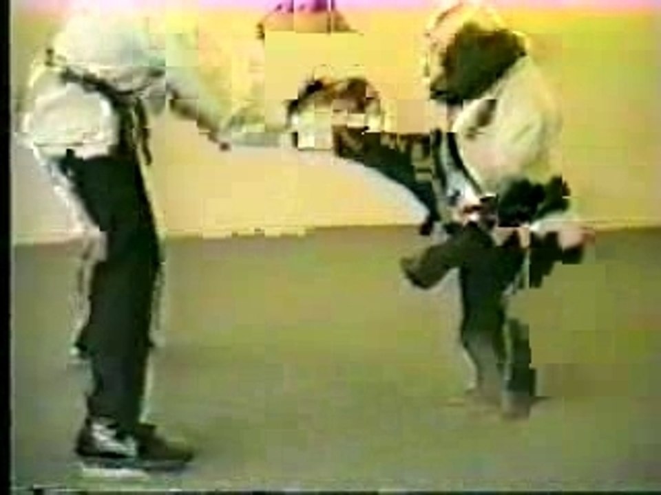 Karate scimmia