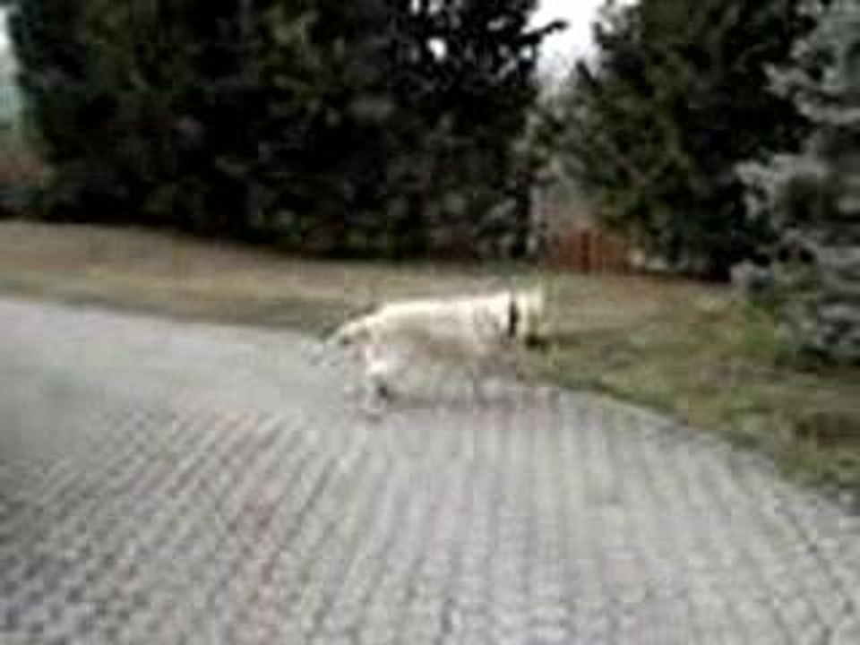 MOV00291