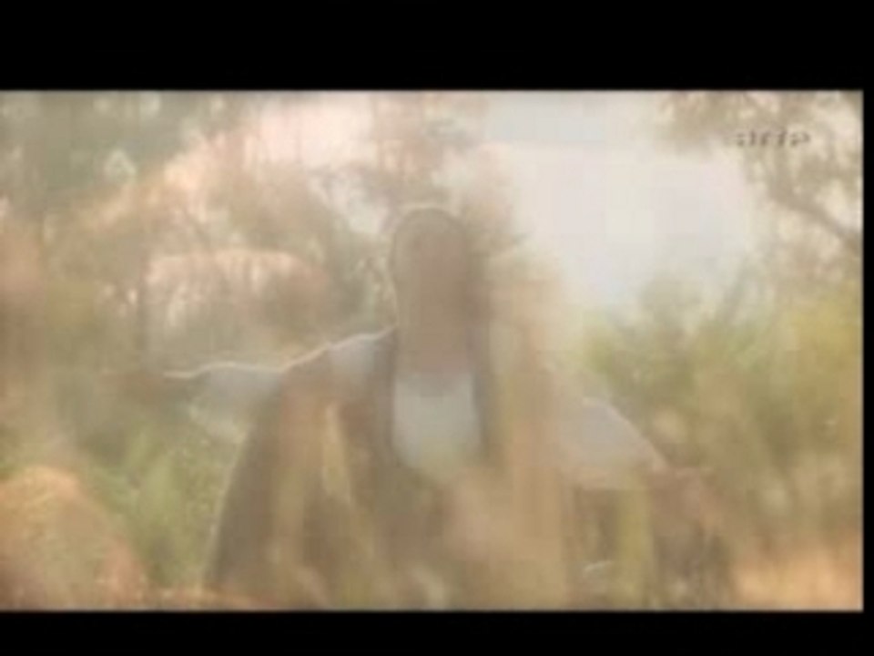 Michel-Ange part3