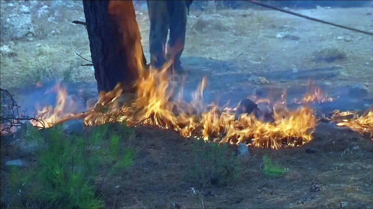 Wildfire rages across Greece's Chios island