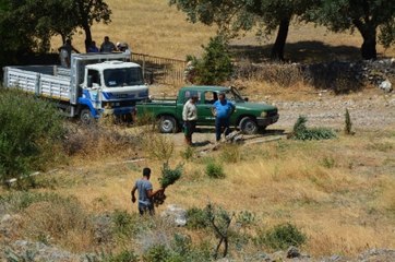 Söke'de Hazine Arazisini İzinsiz Kullanıma Geçit Yok