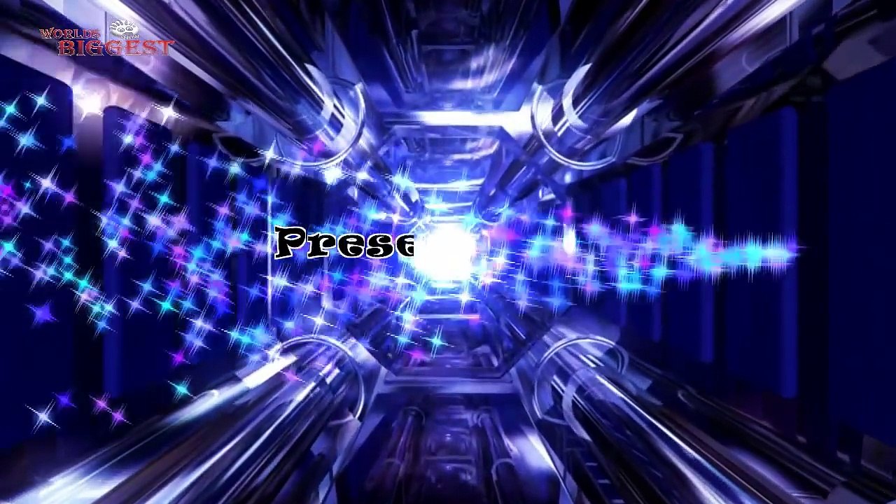 Top 5 Amazing Stabbing Survivors