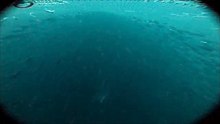 020 School haring in het net Trek 13 vlc-record-2016-07-17-22h36m35s-GP020348 Trek 13 .MP4-