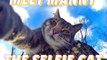 This cat takes better selfies than you%21