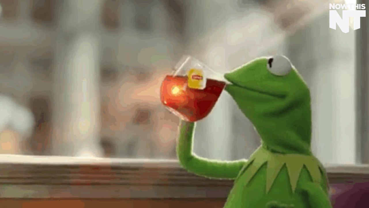 'Good Morning America' Blew Up The Internet With One Tweet #TeaLizard