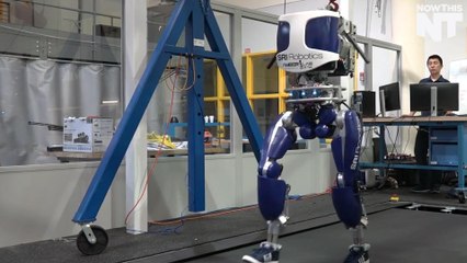 This Robot Can Almost Walk Like A Human