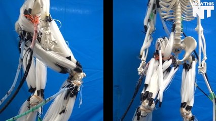 This Robot Has Muscles Just Like We Do