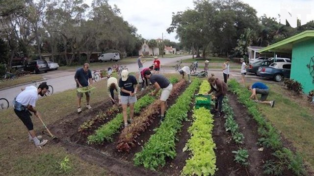 This Group Transforms Unused Lawns Into Food-Producing Farms