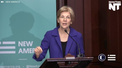 Elizabeth Warren Goes Hard on Monopolies