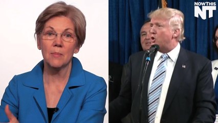 Elizabeth Warren Is Hitting Trump Where it Hurts