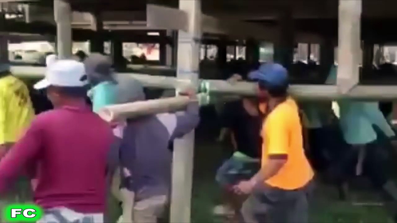 Funny FAIL and WIN Videos Compilation 2016