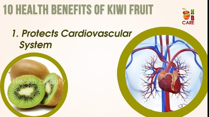 Health Benefits of Kiwi Fruit
