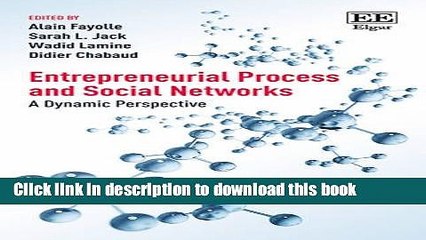 Read Entrepreneurial Process and Social Networks: A Dynamic Perspective  PDF Free
